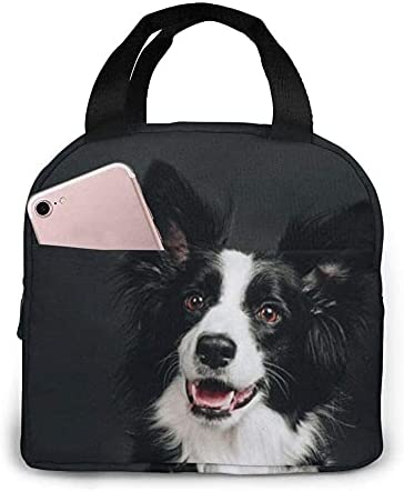 Lunch Bag Young Border Collie  - Women'S Young Bags recension och pris